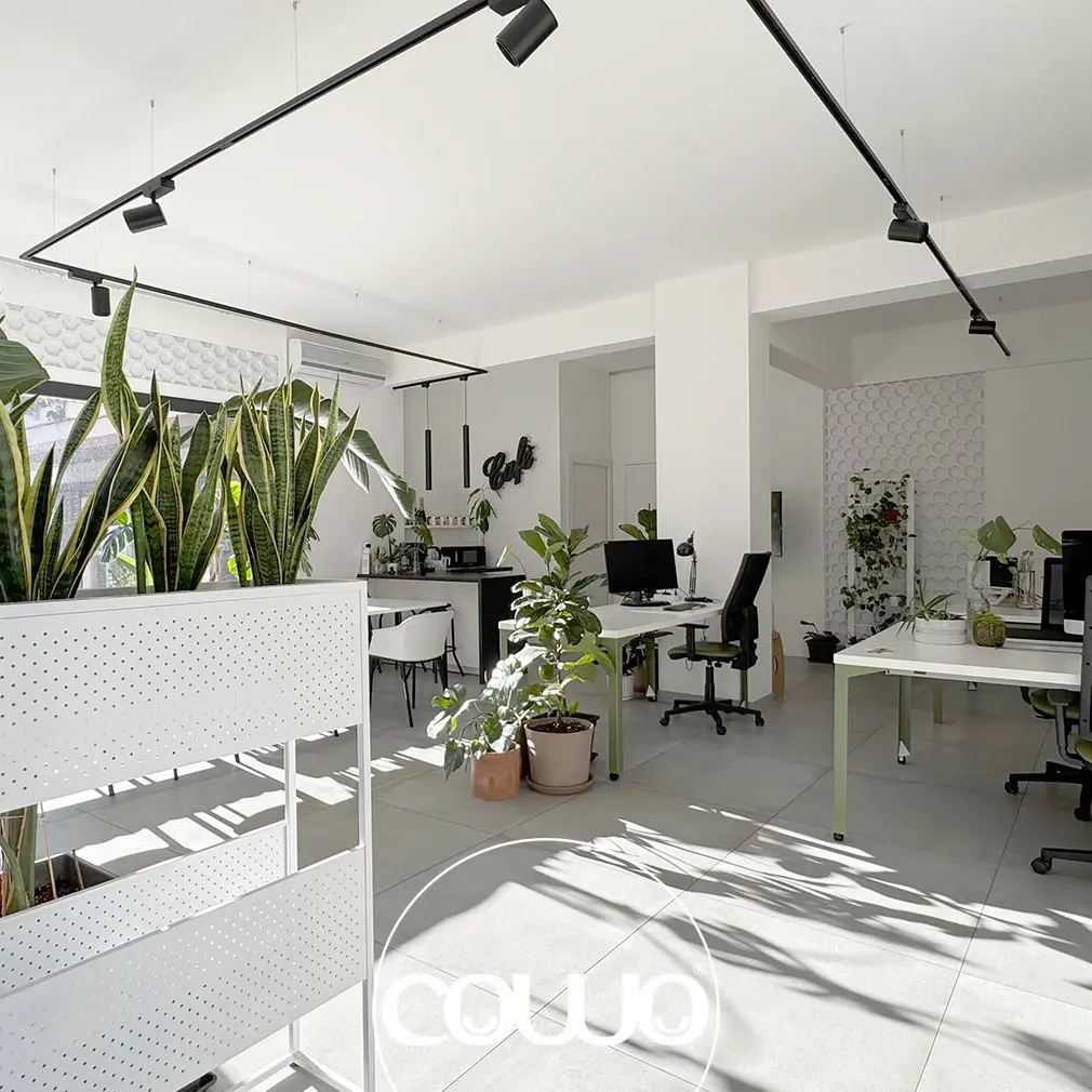 coworking-roma-colli-albani-continuita
