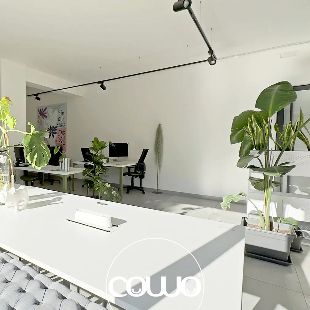 coworking-roma-colli-albani-spazio-lavoro1