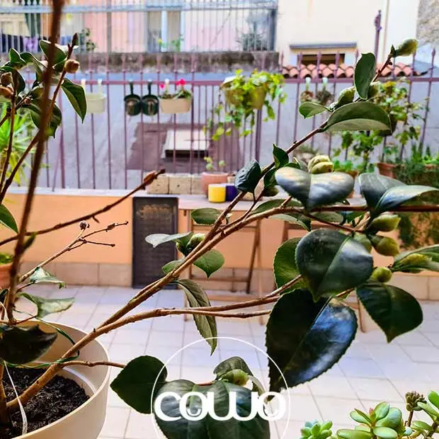 coworking-trieste-ponterosso-4