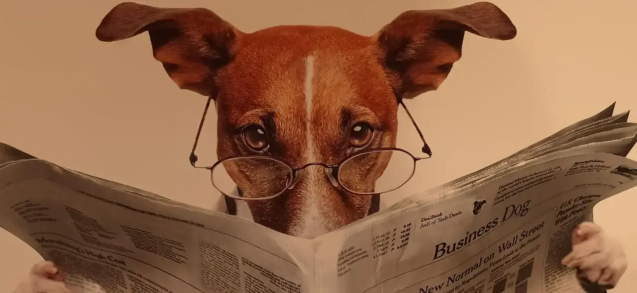 coworking pet friendly